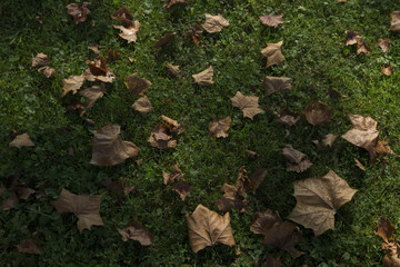Trans-Allegheny Lunatic Asylum in Weston, West Virginia.