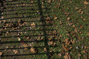 Trans-Allegheny Lunatic Asylum in Weston, West Virginia.