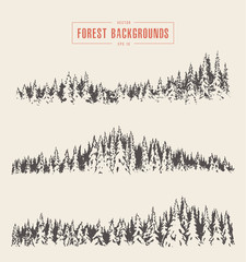 Set pine forest backgrounds vector drawn sketch