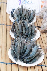 Fresh shrimp in the market