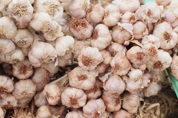garlic in the market