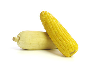 sweet corn isolated on white background