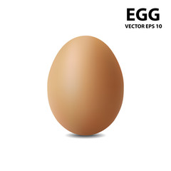 Realistic egg icon, isolated on white background. Vector illustration