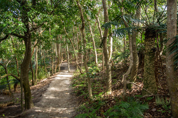 Bush Australien 