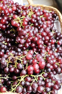Fresh fruit black grapes in the market