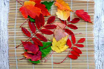 Fototapeta na wymiar colorful autumn leaves on bamboo napkin