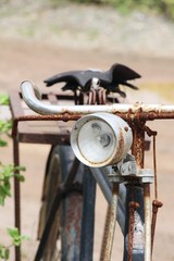 Old bicycle vintage style with the nature
