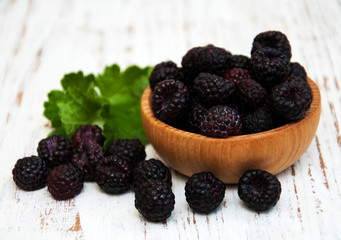 Bowl with Blackberries