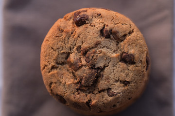 closeup isolated chocolate chips cookie on brown background