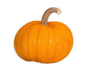 Organic Sugar Pie Pumpkin, an ideal pumpkin for holiday baking and cooking. Isolated on white background. 