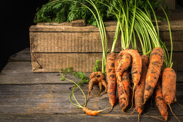 Fresh Organic Carrots  on wooden background. 