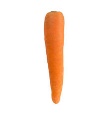 Ripe carrot