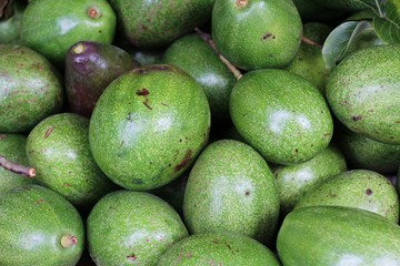 Fresh green avocado is delicious in market