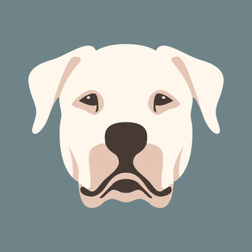 Argentine dog face  vector illustration style flat 