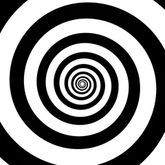 Foto op Plexiglas Spiral color black on the white background. Vector illustration © hobbitfoot