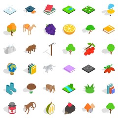 Camel icons set, isometric style