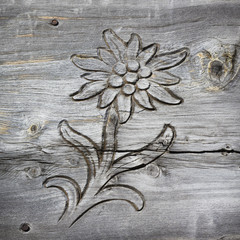wooden board with edelweiss shaped cut out