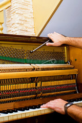 piano tuner