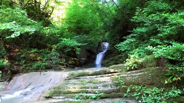 General front view of natural waterfall flowing from rocks into a small lake, surrounded with green trees.