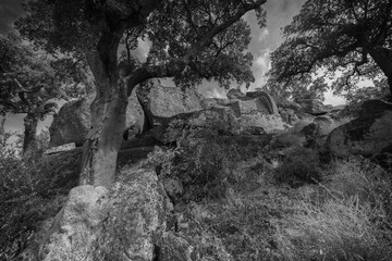 Landscape in the natural area of Valcorchero, near Plasencia. Extremadura. Spain.