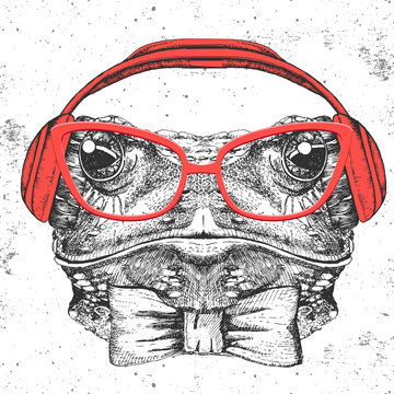 Hipster animal frog. Hand drawing Muzzle of frog