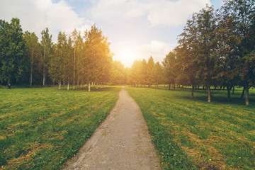 park in the fall at sunset