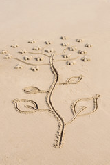 arbre à papillon dans le sable