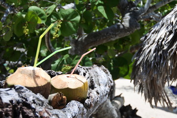 Frische Kokosnuss am Strand