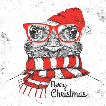 Christmas Hipster fashion animal frog dressed  a New Year hat and scarf