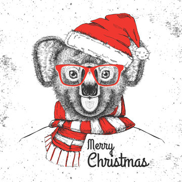 Christmas Hipster fashion animal koala dressed  a New Year hat and scarf