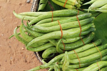 Fresh cucumbers in the market