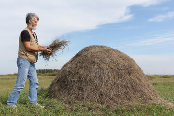 Naklejka na ściany i meble Man with a beard forming a haystack in the field in autumn