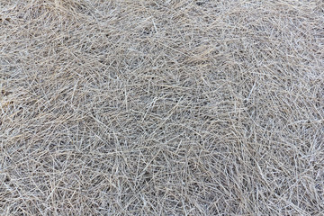 Hay, natural background in the fall outdoors