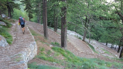 chemin royal, Grand Paradis