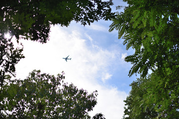 Airplane with trees in blue sky with white clouds.