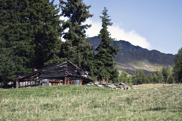 Obraz premium La vecchia baita in legno , sui pascoli di montagna