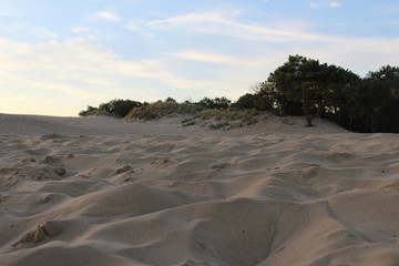 plage sable dune mer ocean