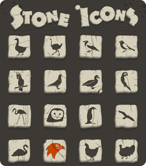 birds icon set