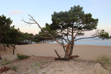 plage sable dune mer ocean