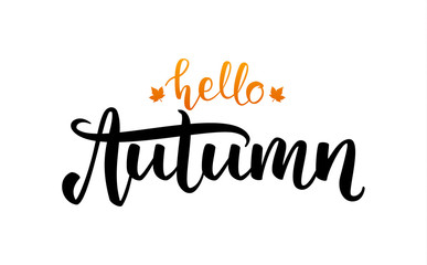 Vector illustration: Handwritten lettering composition of Hello Autumn