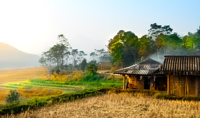 Rice fields on terraced of Mu Cang Chai, YenBai, Vietnam. Vietnam landscapes.