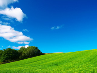 Hill of Biei in Hokkaido and blue sky