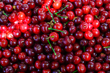 Background of fresh ripe cherries