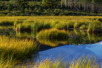 Obraz premium Lake in Alaska