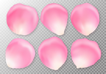 A collection of pink rose petals close-up on a transparent background for the design of romantic greetings. Vector editable elements to the day of the holy Valentine.
