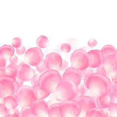 Background with flying rose petals on a white background for congratulations on Valentine's Day or Mother's Day.
