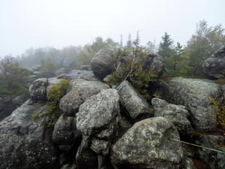 Formy skalne i labirynty Szczelińca Wielkiego najwyższego szczytu Gór Stołowych