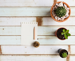 Flat lat design green plant on wood table,top view