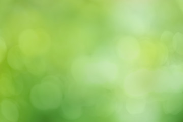 Obraz premium Abstract defocused green blurred background