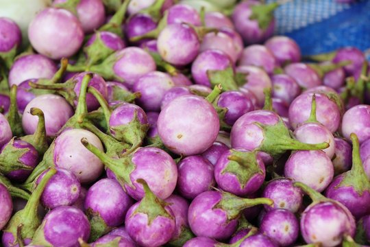 Fresh eggplant purple organic in the market
